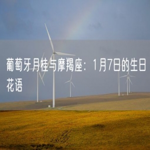 葡萄牙月桂与摩羯座：1月7日的生日花语