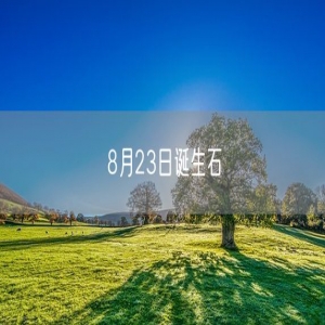 8月23日诞生石