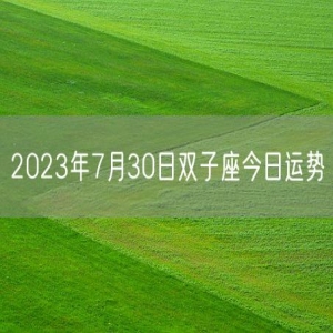 2023年7月30日双子座今日运势