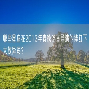 哪些星座在2013年春晚哈文导演的捧红下大放异彩？