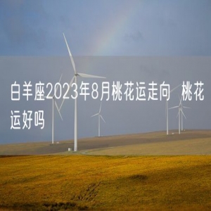 白羊座2023年8月桃花运走向  桃花运好吗