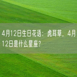 4月12日生日花语：虎耳草，4月12日是什么星座？