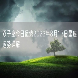 双子座今日运势2023年8月17日星座运势详解