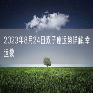 2023年8月24日双子座运势详解,幸运数