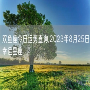 双鱼座今日运势查询,2023年8月25日幸运星座