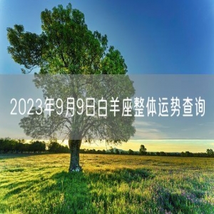 2023年9月9日白羊座整体运势查询