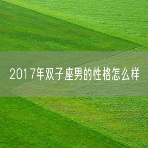 2017年双子座男的性格怎么样