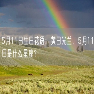 5月11日生日花语：黄日光兰，5月11日是什么星座？