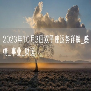 2023年10月3日双子座运势详解_感情_事业_财运