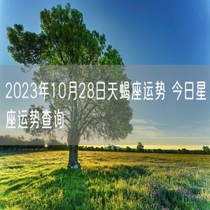 2023年10月28日天蝎座运势 今日星座运势查询