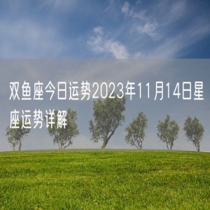 双鱼座今日运势2023年11月14日星座运势详解