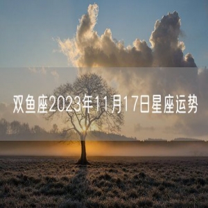 双鱼座2023年11月17日星座运势