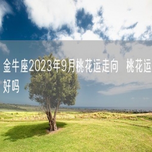 金牛座2023年9月桃花运走向  桃花运好吗