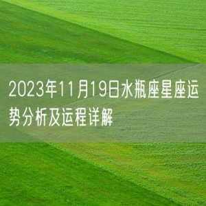 2023年11月19日水瓶座星座运势分析及运程详解