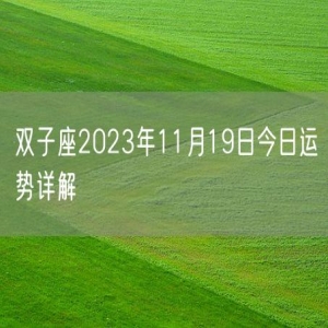 双子座2023年11月19日今日运势详解