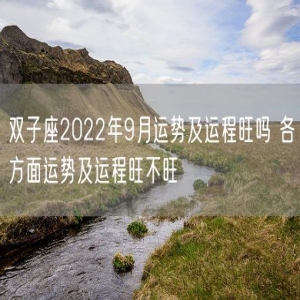 双子座2022年9月运势及运程旺吗 各方面运势及运程旺不旺