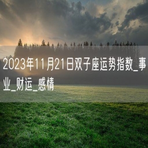 2023年11月21日双子座运势指数_事业_财运_感情