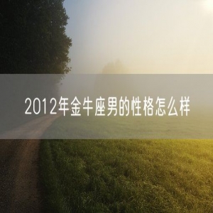 2012年金牛座男的性格怎么样