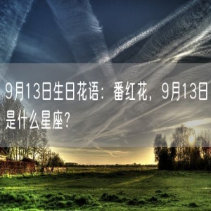 9月13日生日花语：番红花，9月13日是什么星座？
