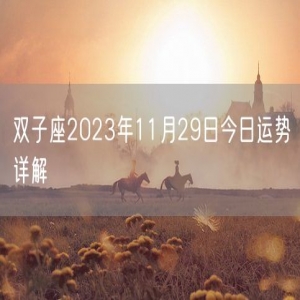 双子座2023年11月29日今日运势详解