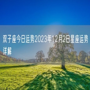 双子座今日运势2023年12月2日星座运势详解