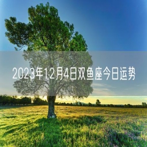 2023年12月4日双鱼座今日运势