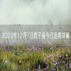 2023年12月7日双子座今日运势详解