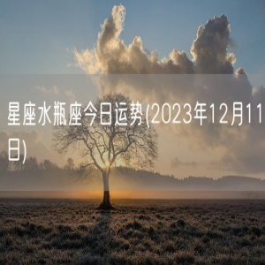 星座水瓶座今日运势(2023年12月11日) 