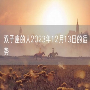 双子座的人2023年12月13日的运势