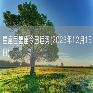 星座巨蟹座今日运势(2023年12月15日) 