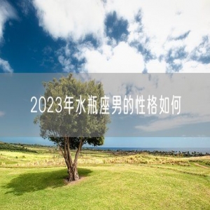 2023年水瓶座男的性格如何