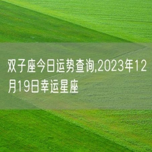 双子座今日运势查询,2023年12月19日幸运星座