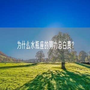 为什么水瓶座的努力总白费？