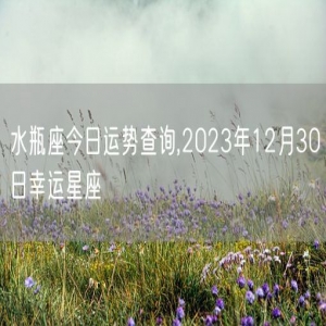 水瓶座今日运势查询,2023年12月30日幸运星座