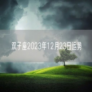 双子座2023年12月23日运势