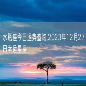 水瓶座今日运势查询,2023年12月27日幸运星座