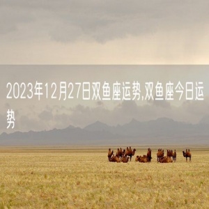 2023年12月27日双鱼座运势,双鱼座今日运势