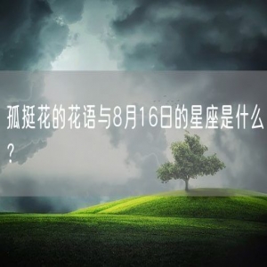 孤挺花的花语与8月16日的星座是什么？