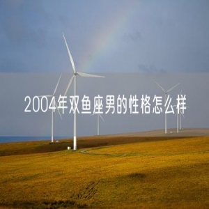 2004年双鱼座男的性格怎么样