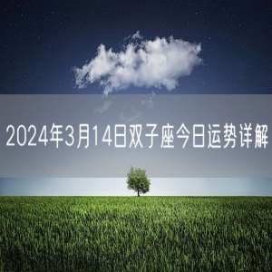 2024年3月14日双子座今日运势详解