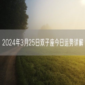 2024年3月25日双子座今日运势详解