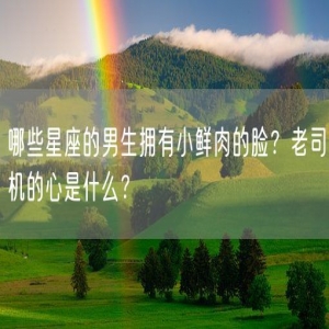 哪些星座的男生拥有小鲜肉的脸？老司机的心是什么？