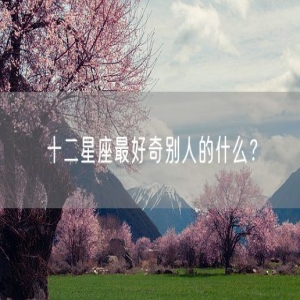 十二星座最好奇别人的什么？