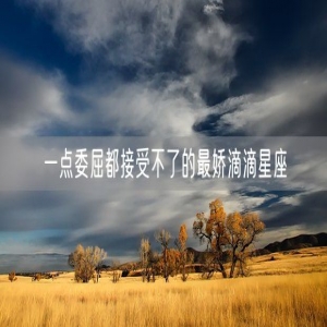一点委屈都接受不了的最娇滴滴星座