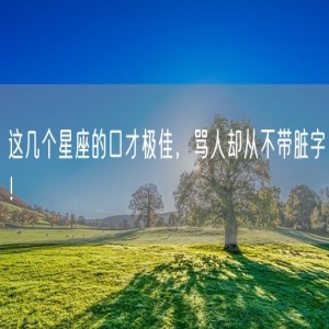 这几个星座的口才极佳，骂人却从不带脏字！