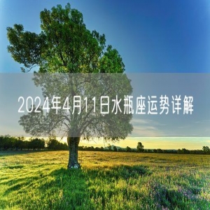 2024年4月11日水瓶座运势详解