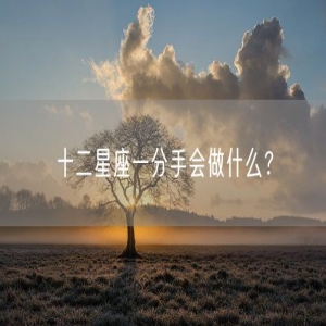 十二星座一分手会做什么？
