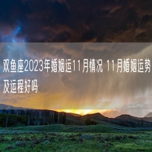双鱼座2023年婚姻运11月情况 11月婚姻运势及运程好吗