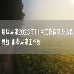 哪些星座2023年11月工作运势及运程最好 那些星座工作好