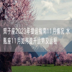 双子座2023年提运指南11月情况 水瓶座11月如何提升运势及运程